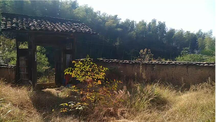 Ժ�о�_��һ����