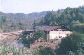 ����Զ��ͼ